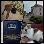 Chez L'habitante 